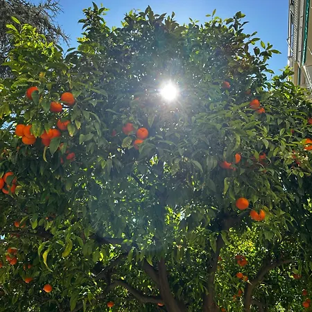 La Dependance Vakantiehuis Alassio