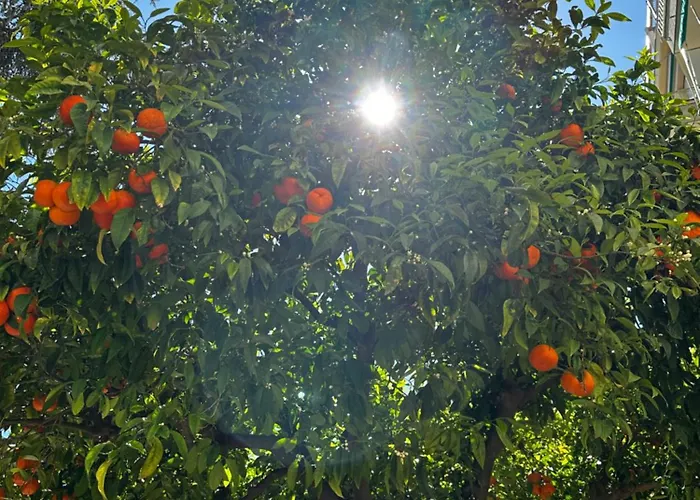 La Dépendance Сasa de vacaciones Alassio